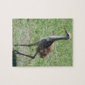 Sandhill Cranes uit Florida op groene veldfoto Legpuzzel (Horizontaal)