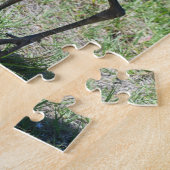 Sandhill Cranes uit Florida op groene veldfoto Legpuzzel (Zijkant)