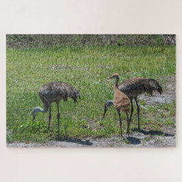 Sandhill Cranes uit Florida op groene veldfoto Legpuzzel