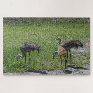 Sandhill Cranes uit Florida op groene veldfoto Legpuzzel