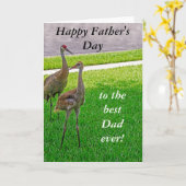 Sandhill Cranes - Vaderdag - Birthday Kaart (Gele Bloem)