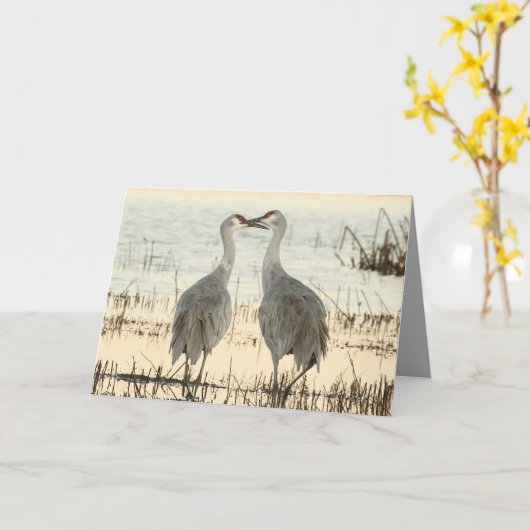 Sandhill Cranes Valentijn kaart (Gele Bloem)