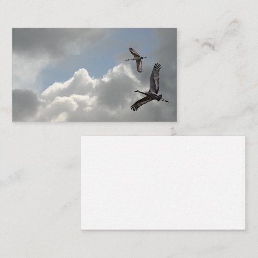 SANDHILL CRANES VISITEKAARTJE (Voorkant / Achterkant)