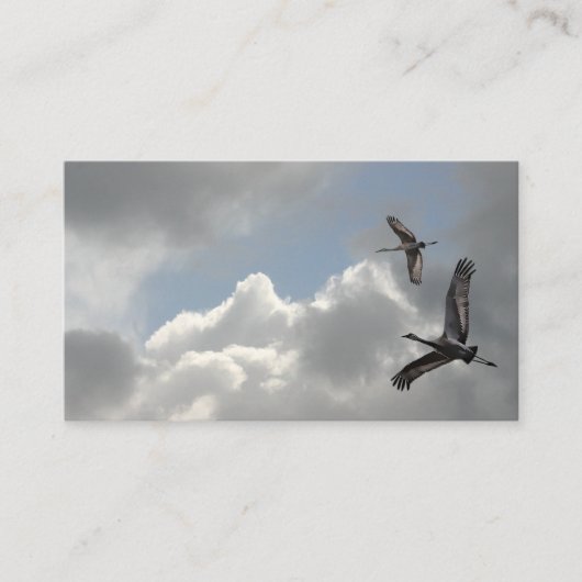 SANDHILL CRANES VISITEKAARTJE (Voorkant)