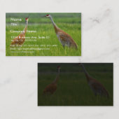 Sandhill Cranes Visitekaartje (Voorkant / Achterkant)