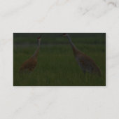 Sandhill Cranes Visitekaartje (Achterkant)