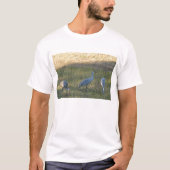 Sandhill Cranes Vogels Foto T-shirt (Voorkant)