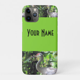 Sandhill kraan Case-Mate iPhone case