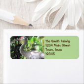 Sandhill kraan etiket (Insitu)