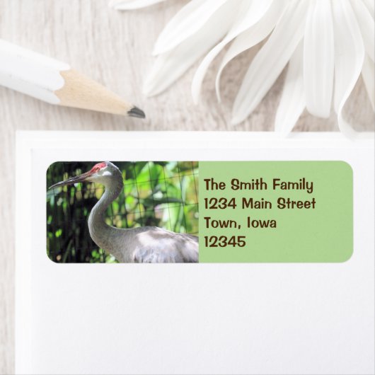 Sandhill kraan etiket (Insitu)