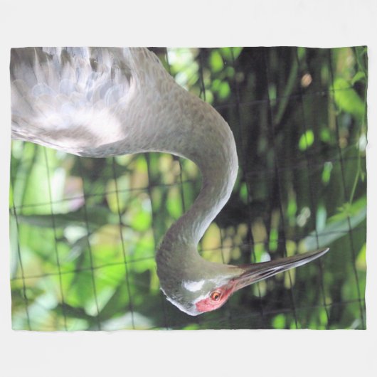 Sandhill kraan fleece deken (Voorkant (Horizontaal))