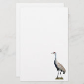Sandhill kraan foto briefhoofd papier (Voorkant / Achterkant)