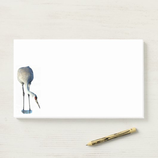 Sandhill kraan foto briefpapier 10x6 notities post-it® notes (Op bureau)