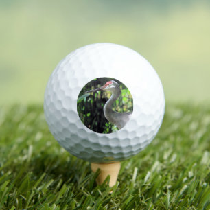 Sandhill kraan golfballen