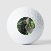 Sandhill kraan golfballen (Voorkant)