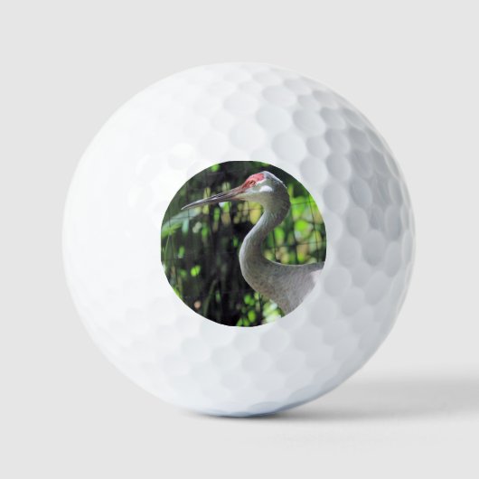 Sandhill kraan golfballen (Voorkant)
