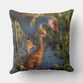 Sandhill kraan met kuikens, Florida Kussen (Achterkant)