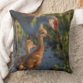 Sandhill kraan met kuikens, Florida Kussen (Deken)