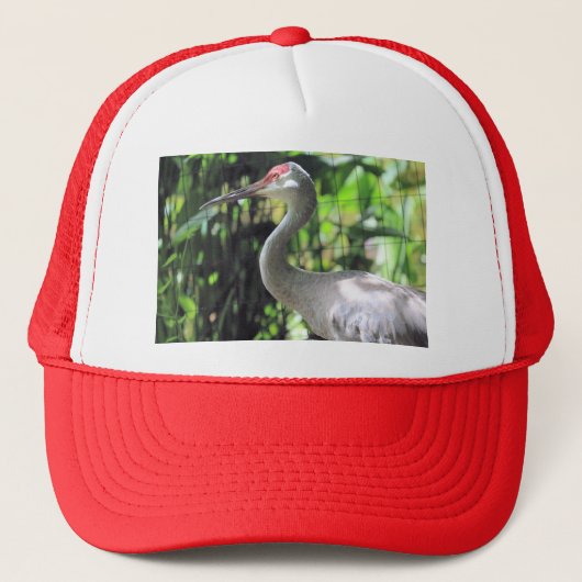 Sandhill kraan trucker pet (Voorkant)