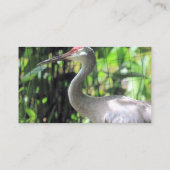 Sandhill kraan visitekaartje (Achterkant)