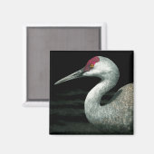 Sandhill kraanmagneet - "Grasland Grace" Magneet (Voorkant / Achterkant)