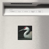 Sandhill kraanmagneet - "Grasland Grace" Magneet (Insitu (Vaatwasser))