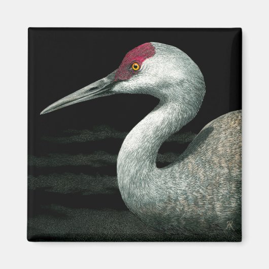 Sandhill kraanmagneet - "Grasland Grace" Magneet (Voorkant)