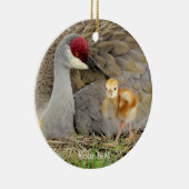 Sandhill kraanvogel met griezelfotografie keramisch ornament (Rechts)