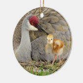 Sandhill kraanvogel met griezelfotografie keramisch ornament (Links)