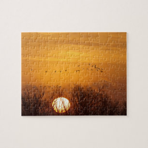 Sandhill kranen gedempt tegen stijgende zon legpuzzel