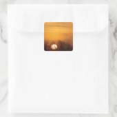 Sandhill kranen gedempt tegen stijgende zon vierkante sticker (Tas)