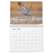 Sandhill kranen kalender (Mar 2026)