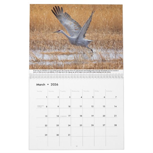 Sandhill kranen kalender (Mar 2026)
