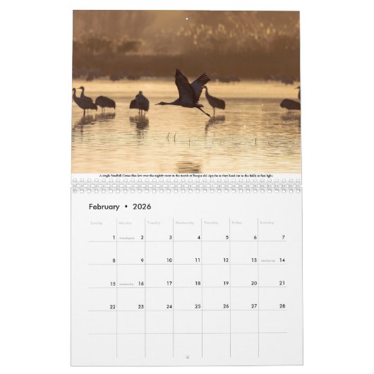Sandhill kranen kalender (Feb 2026)