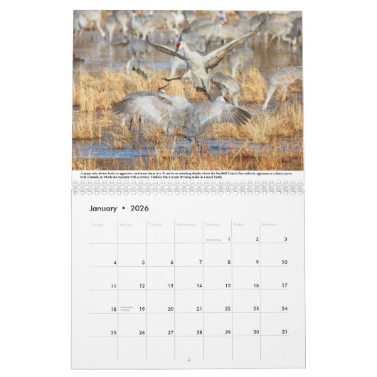Sandhill kranen kalender (Jan 2026)