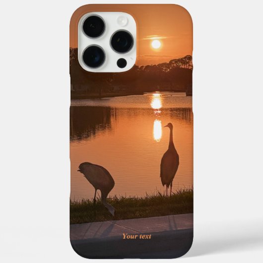Sandhill kranen silhouet bij zonsondergang Case-Mate iPhone case (Achterkant)