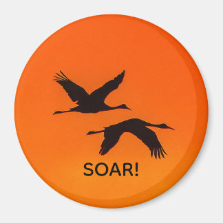 Sandhill Kranen Vliegen In Sunset Magnet