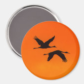 Sandhill Kranen Vliegen In Sunset Magnet (Voorkant / Achterkant)