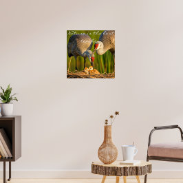 Sandhill kranen zorgen voor hun jonge "Wall Déco Poster
