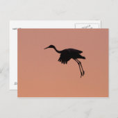 Sandhill silhouette op een roze zonnehemel briefkaart (Voorkant / Achterkant)