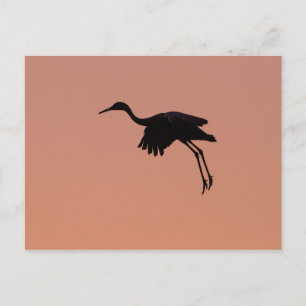 Sandhill silhouette op een roze zonnehemel briefkaart