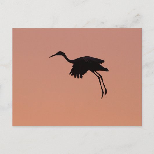 Sandhill silhouette op een roze zonnehemel briefkaart (Voorkant)