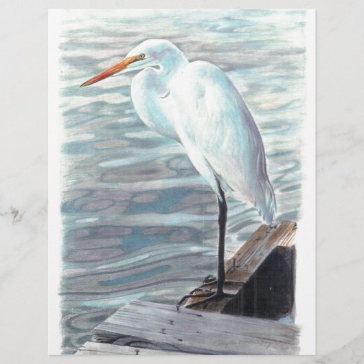 Sandhillkraan in water. (Voorkant)