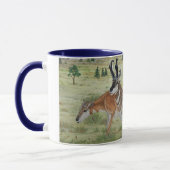 Sandhills Pronghorn Antelope Wildlife Art Mok (Links)