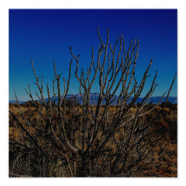 Sandia Mountains Albuquerque Foto Afdruk