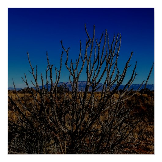 Sandia Mountains Albuquerque Perfect Poster (Voorkant)