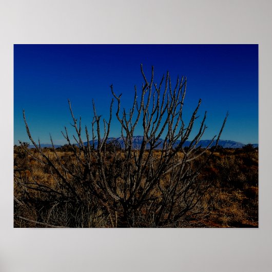 Sandia Mountains Albuquerque Poster (Voorkant)