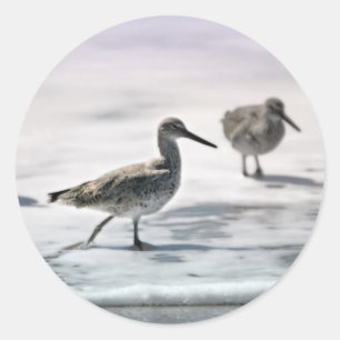 Sandpeper Ronde Sticker