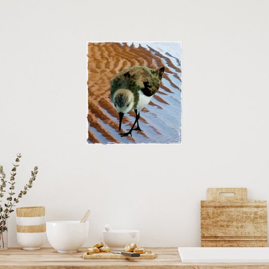 Sandpiper bij de strand poster (Keuken)