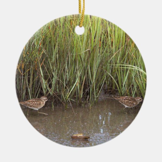 Sandpiper Bird Foto Ornament (Voorkant)